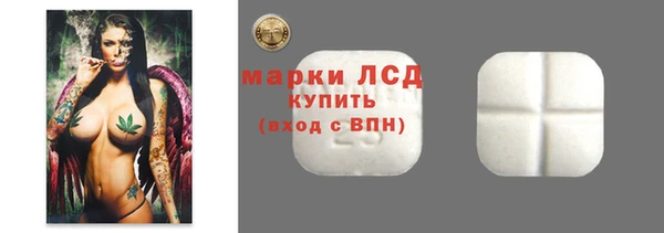 индика Каменногорск